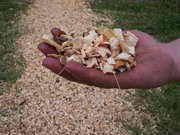 Kliknut�m obr�zek zv�t��te