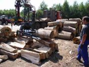 Kliknut�m obr�zek zv�t��te