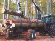 Kliknut�m obr�zek zv�t��te